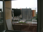 sala16
