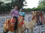 [lang:en]Driving a camel lady[lang:sk]Jazda na �ave